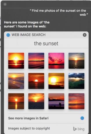 Siri Sunset'teki fotoğrafları Web'de bul