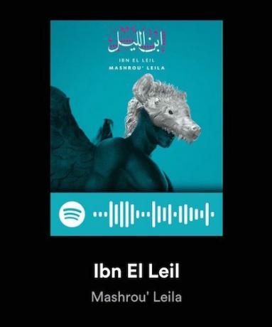 spotify kodları