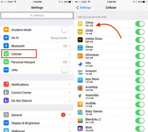 Bireysel iOS Uygulamaları için Veri Kullanımını İzleme CellDataiOS1 562x500