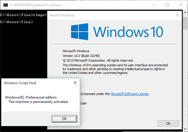 Windows 10 Build 10240 Lisansı
