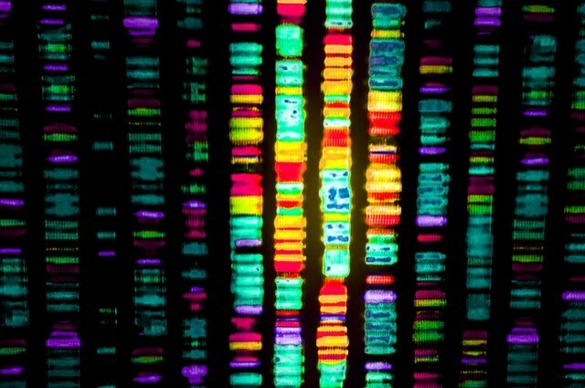 DNA-sekansı