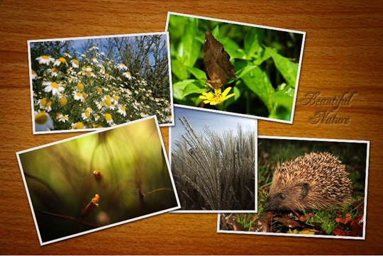 Photoshop naturecollage Kullanarak Nasıl Serin Kolaj Yapılır