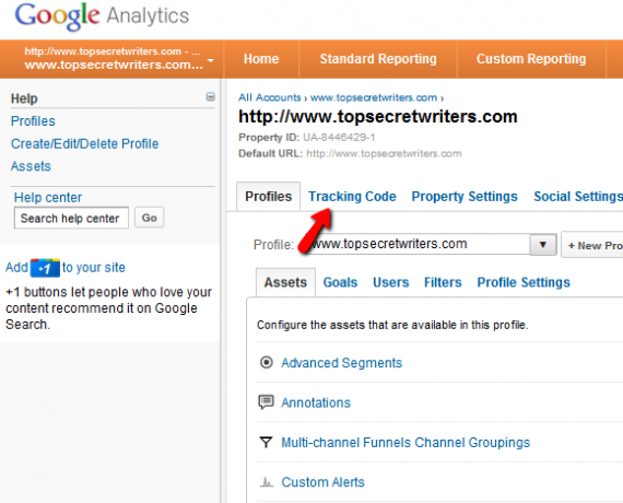 google analytics nedir