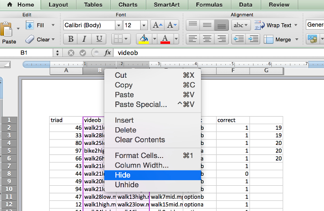 Excel gizleme kolonları