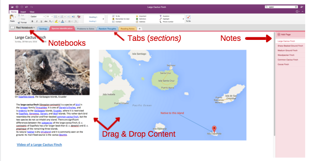 OneNote-organizasyon-640x331