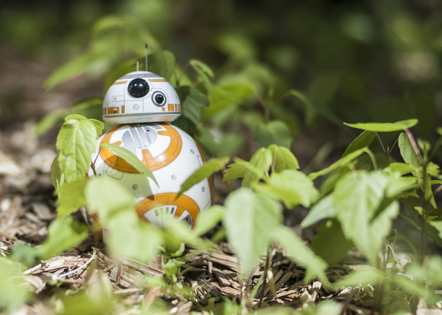 Gücü Güçlendirin: Sphero Star Wars BB-8 İncelemesi ve Hediye DSC 0037