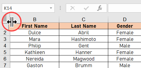 Excel'deki ilk sütunu göster