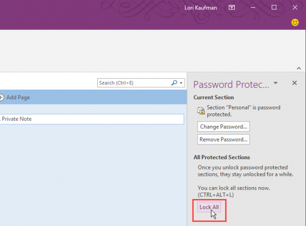 OneNote 2016'da Tümünü Kilitle'yi tıklayın
