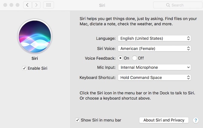 MacOS Sierra'da Siri Ayarları