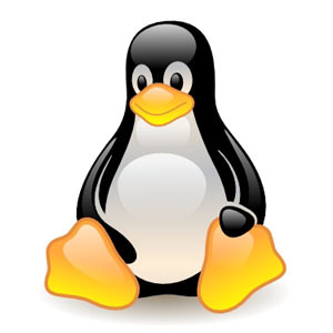 linux komutları