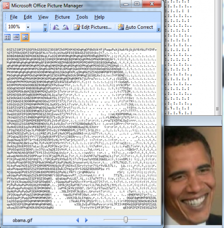 ascii sanat