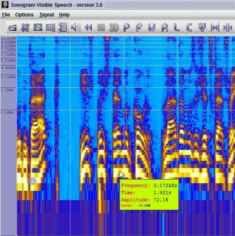 dijital ses spektrogramı