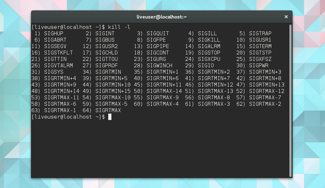 LinuxTaskManager-öldürme