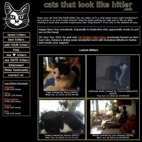 Kedi Sevenler için 8 Mükemmel Kedi Web Siteleri hitler kediler anasayfa