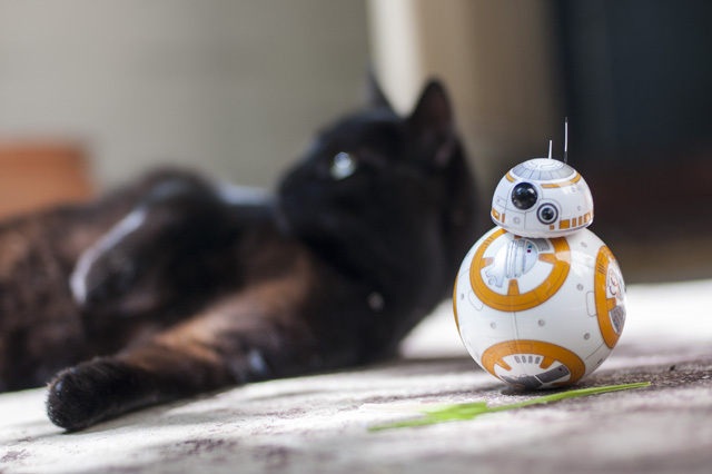 Gücü Güçlendirin: Sphero Star Wars BB-8 İncelemesi ve Hediye DSC 0033