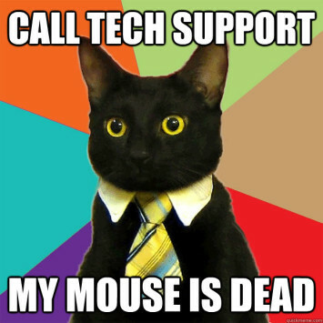 ... Daha Fazla Business Cat Meme Tech Destek