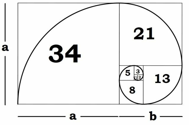 Fibonacci-spiral açıklama