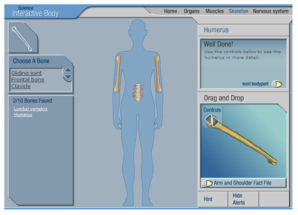 ücretsiz interaktif anatomi