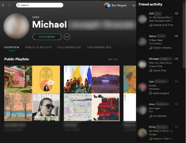 Spotify Müzik Akışı: Resmi Olmayan Kılavuzu 27 Spotify Arkadaş Sayfası Arkadaş Etkinliği