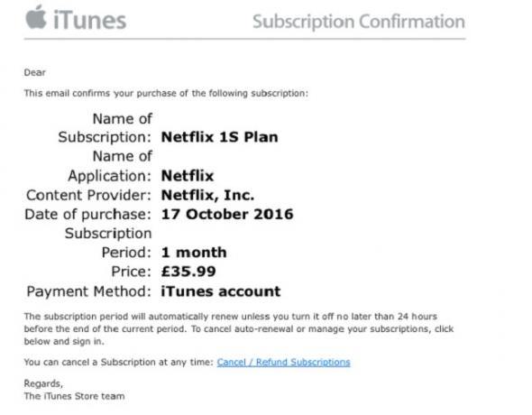 iTunes Netflix Scam E-postası