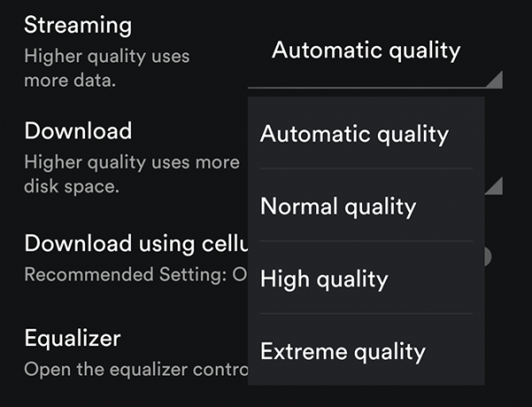 veri kullanımını spotify