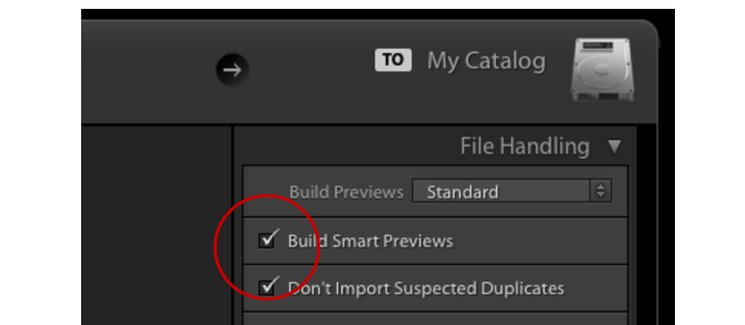 lightroom akıllı önizlemeler