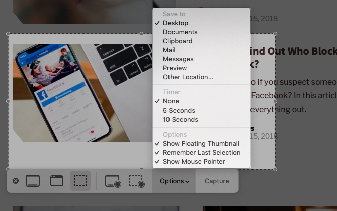 mac'ta ekran görüntüsü uygulamasında seçenekler menüsü