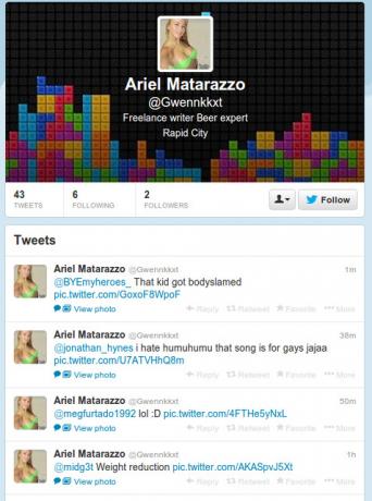 spambot_twitter_example