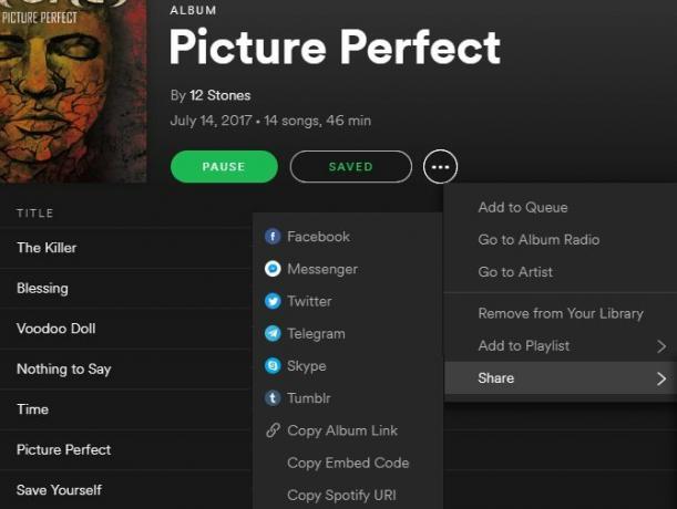 Spotify Müzik Akışı: Resmi Olmayan Kılavuzu 19 Spotify Share Desktop