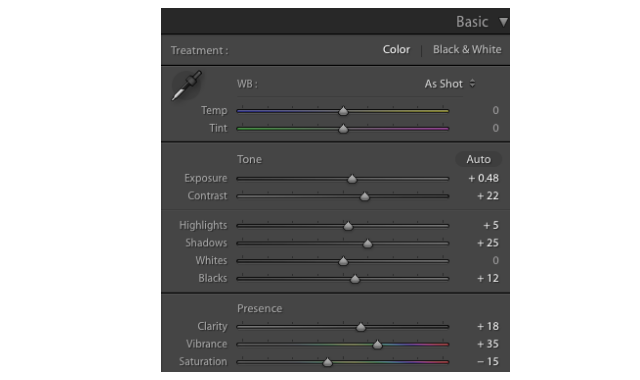 Lightroom Retro Ayarları