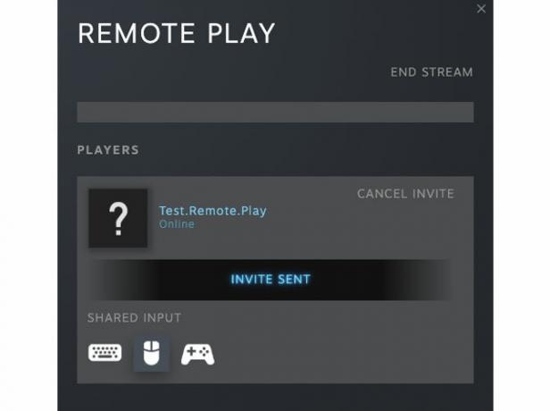 Remote Play'in arkadaşınızın etkileşimlerini kontrol etme becerisine bir örnek