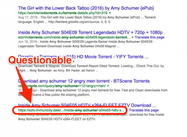 Amy Schumer Torrent URL'si