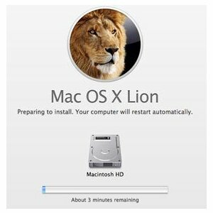 OS X Lion'u Yüklerken Sorun mu yaşıyorsunuz? Thumb Drives Yeni Bir Umut Getiriyor [Haberler] appleinstall1