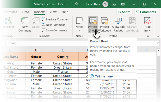 Excel'de Sayfayı Koru'yu tıklayın