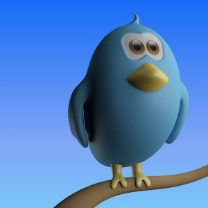 Twacked - İyi Twitter Hesapları Kötü Olduğunda [INFOGRAPHIC] twitterbird