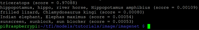 TensorFlow Dinozor Sınıflandırma Çıktısı