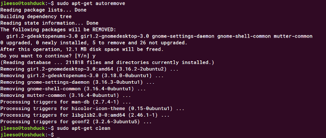 sudo-aptget-autoremove-temiz