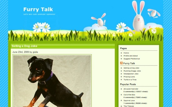 Aptal Pet Pics ve LOL Pets ile 6 En Şirin Siteler furrytalk1