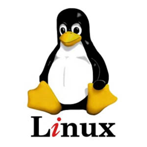 linux'un en kolay versiyonu