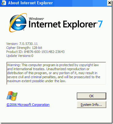 internet explorer'ı yeniden yüklemeye zorla