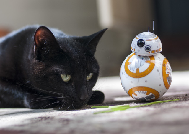 Gücü Güçlendirin: Sphero Star Wars BB-8 İncelemesi ve Hediye DSC 0034