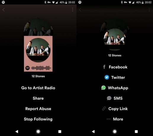Spotify Müzik Akışı: Resmi Olmayan Kılavuzu 20 Spotify Share Mobile
