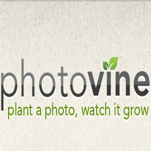 google fotovine