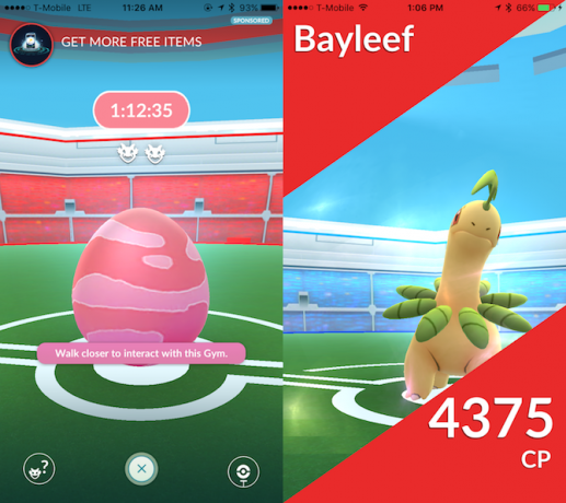 pokemon gitmek baskın patron seviyesi