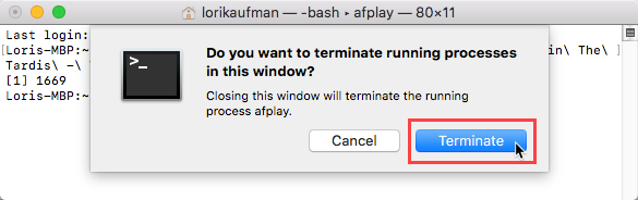 Mac'teki Terminal penceresinde bir işlem için Sonlandır'ı tıklayın.